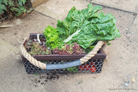 http://acraftymix.com/blog/2016/03/07/easy-diy-harvesting-basket/