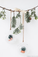 http://www.thebeautydojo.com/diy-christmas-hanging-terrariums/