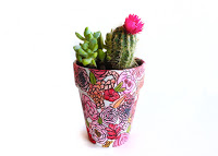 http://styleandspice.com/hand-painted-planter/