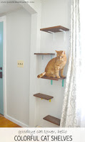 http://www.plasteranddisaster.com/cat-shelves/