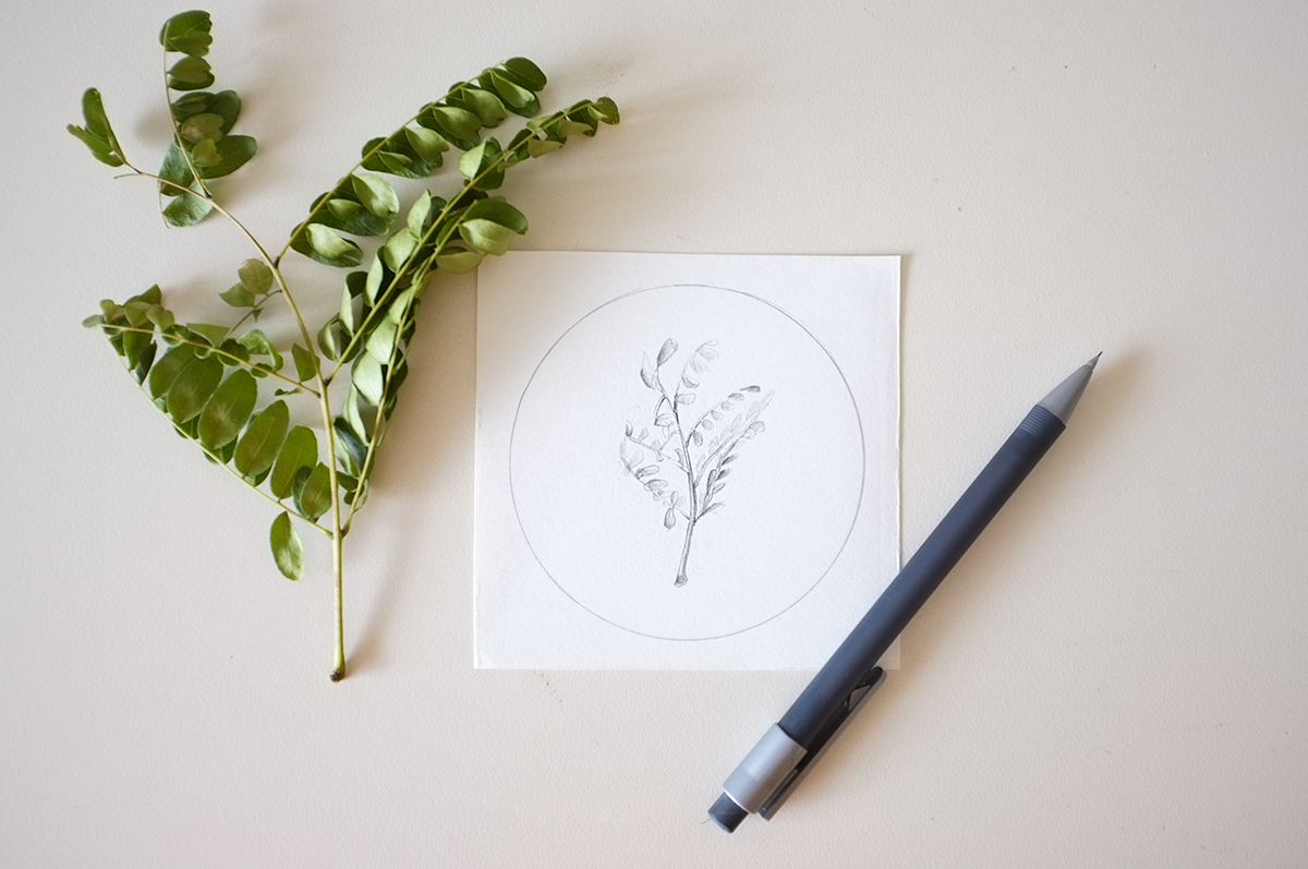 http://thetendergarden.blogspot.co.nz/2015/04/how-to-geometric-plants-drawing-studies.html