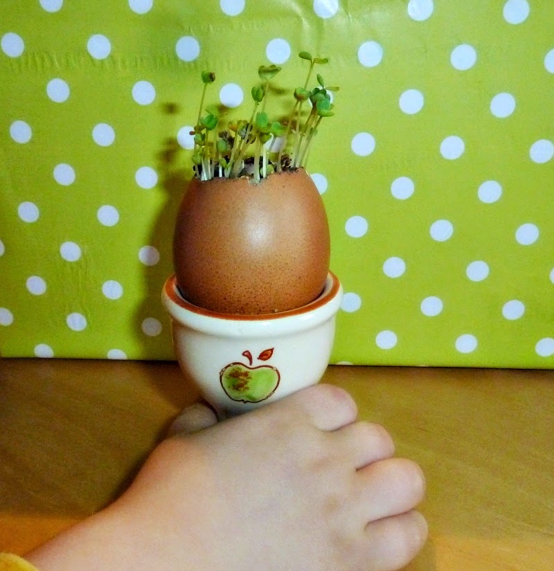 http://applegreencottage.blogspot.com/2015/03/how-to-start-seeds-in-eggshells.html