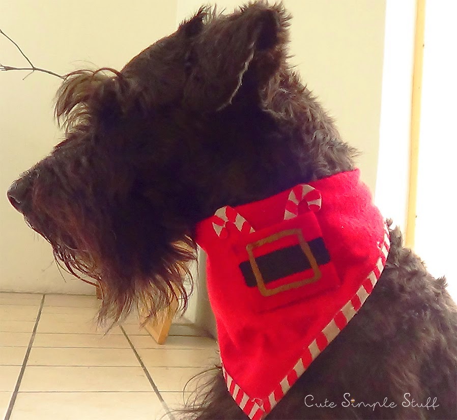 http://www.cutesimplestuff.com/2014/12/diy-christmas-bandana-for-dogs.html