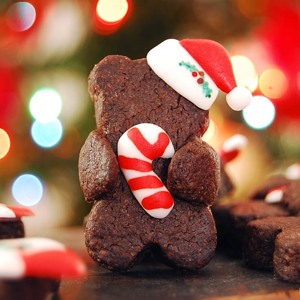 http://www.cutesimplestuff.com/2014/11/christmas-hugging-bear-decorated-cookies.html