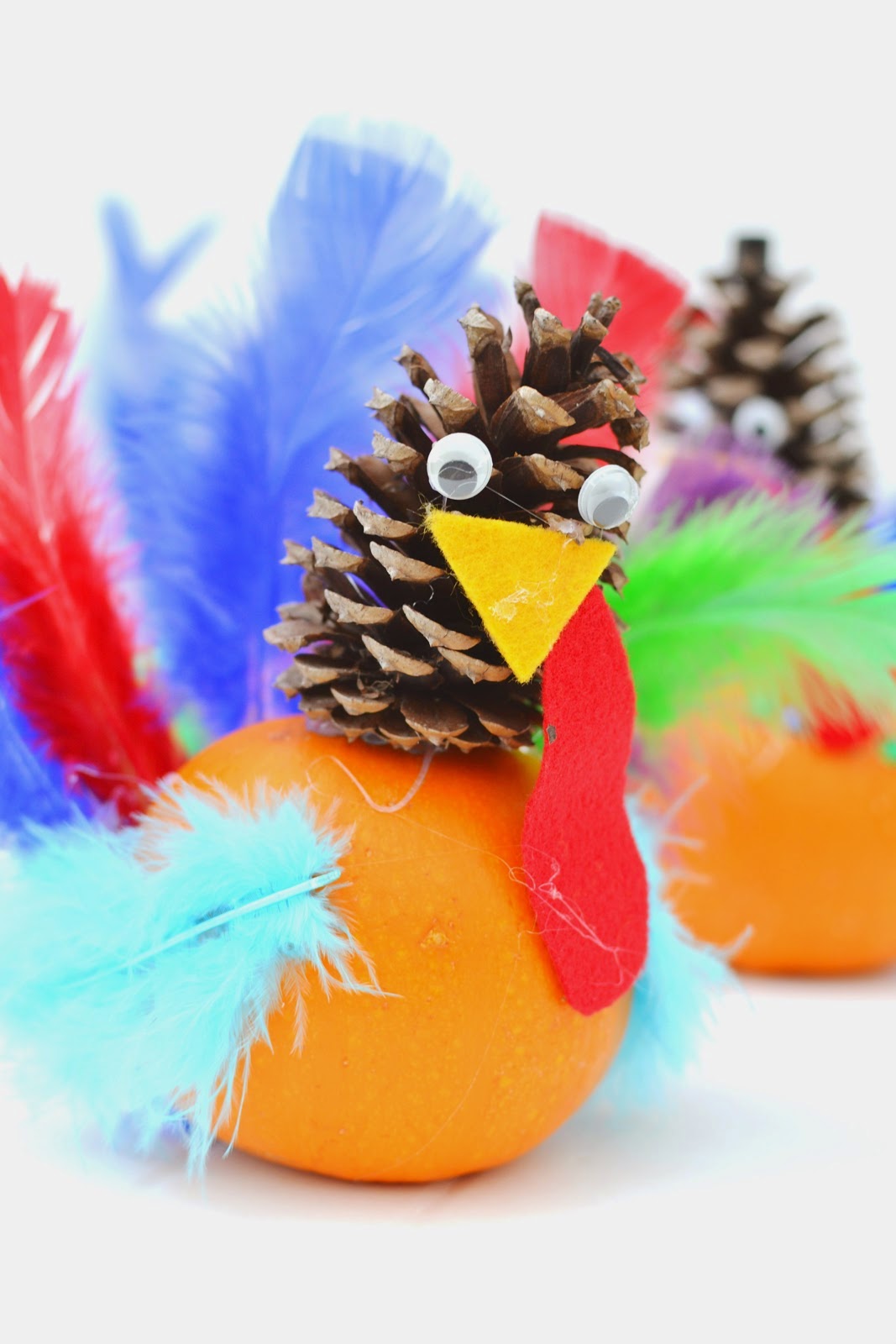 http://plentyofpaprika.blogspot.com/2014/11/pumpkin-pine-cone-turkey-craft.html