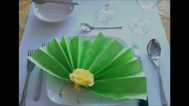 http://prettyneasy.com/blogs/how-to/13080741-pretty-n-easys-napkin-folding-series