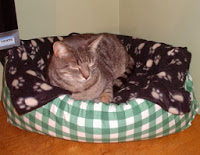 http://sussexmouse.blogspot.co.uk/2014/01/how-to-make-cat-bed-with-old-pillows.html